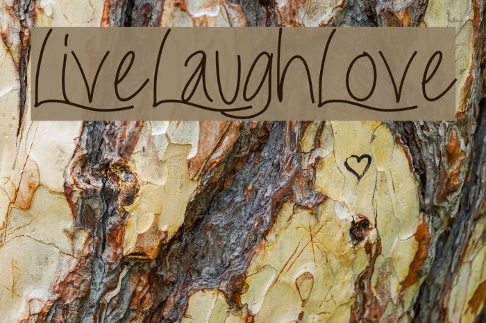 LiveLaughLove Example 1