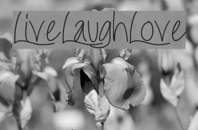 LiveLaughLove Font examples