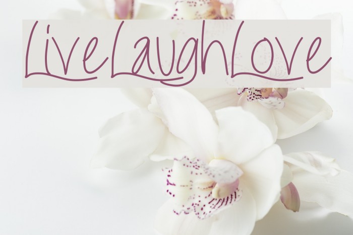 LiveLaughLove Example 3
