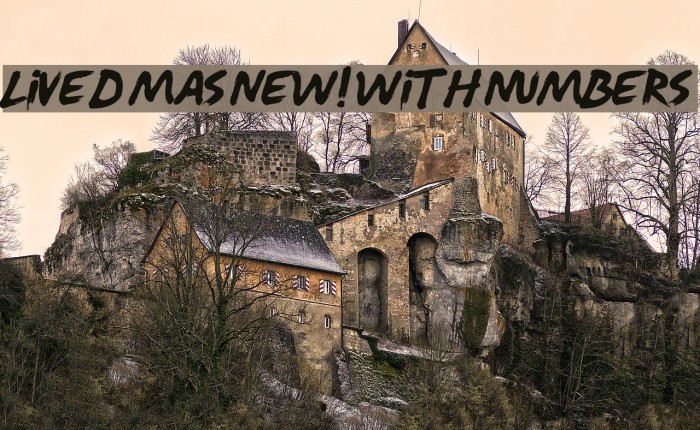 Lived Mas NEW! With Numbers Example 1