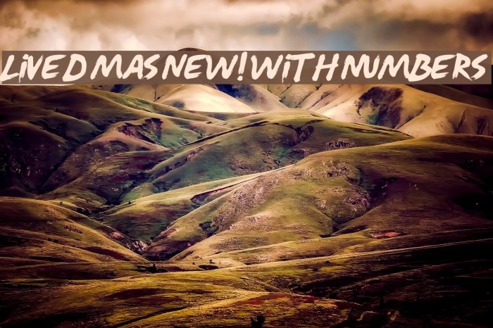 Lived Mas NEW! With Numbers Example 3