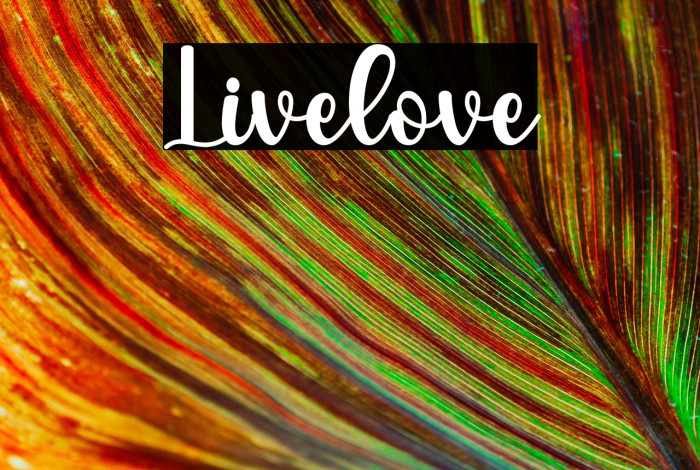 Livelove Example 2