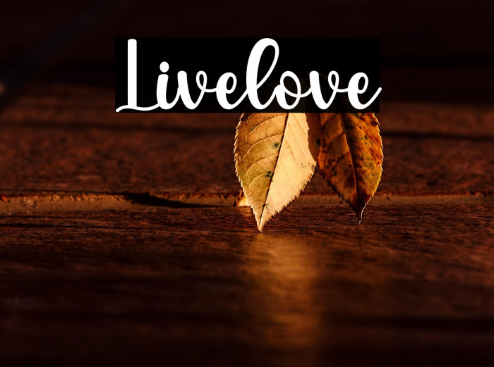 Livelove Example 3