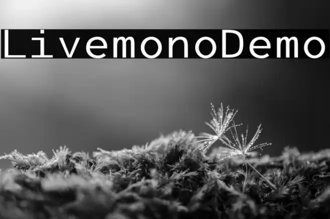 LivemonoDemo Font examples