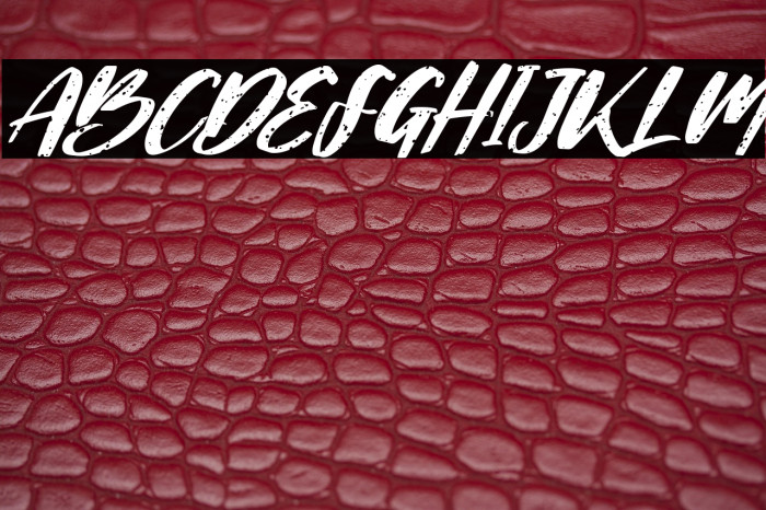 Livermore Italic Example 2