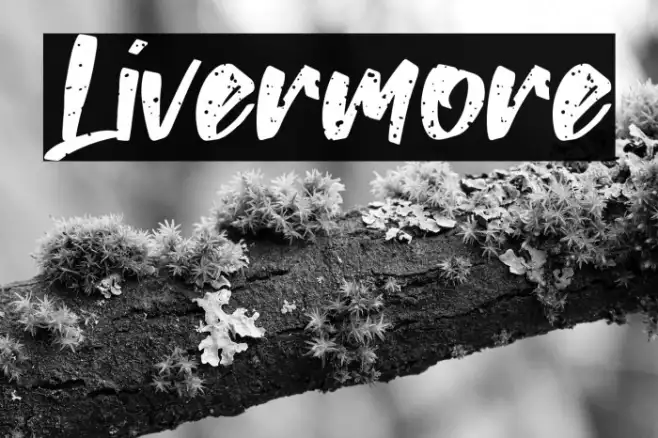 Livermore Example 1