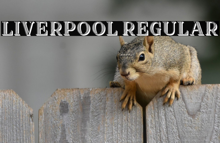 Liverpool Regular Example 2