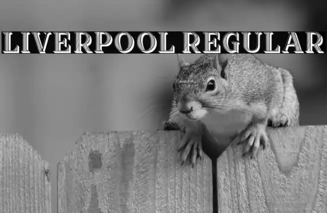 Liverpool Regular Example 2