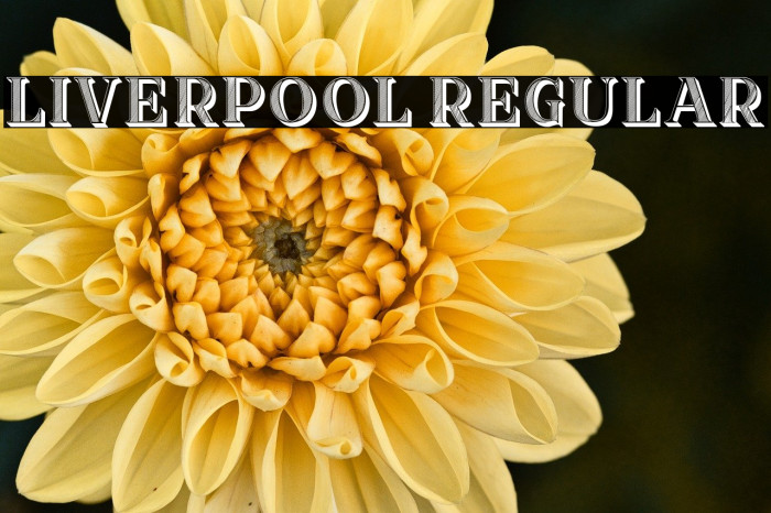 Liverpool Regular Example 3