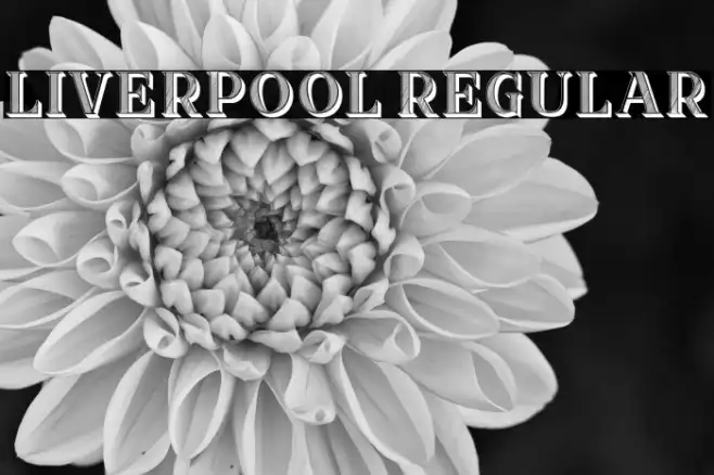 Liverpool Regular Example 3