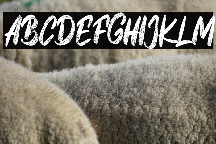 Lives Show FREE Example 1