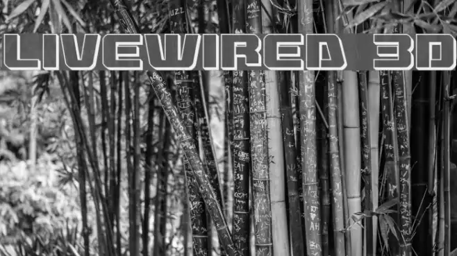 Livewired 3D Example 2