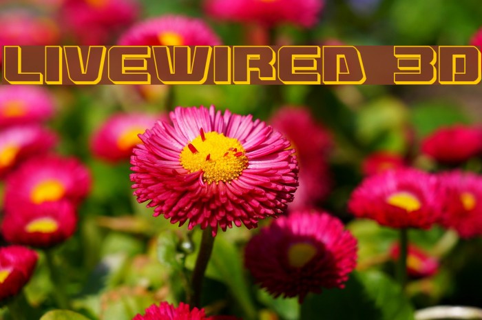 Livewired 3D Font examples