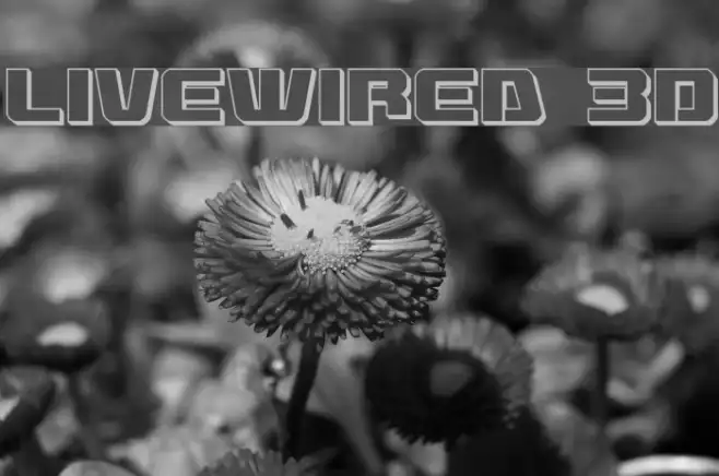Livewired 3D Example 3