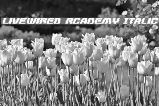 Livewired Academy Italic Font examples