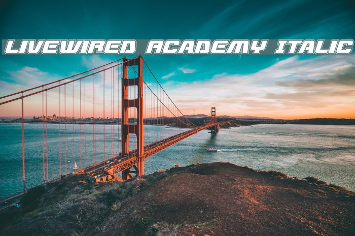 Livewired Academy Italic Example 2