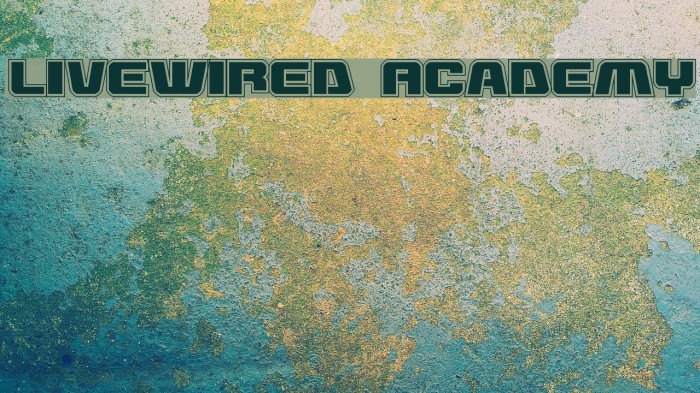 Livewired Academy Example 1