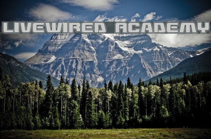 Livewired Academy Example 2