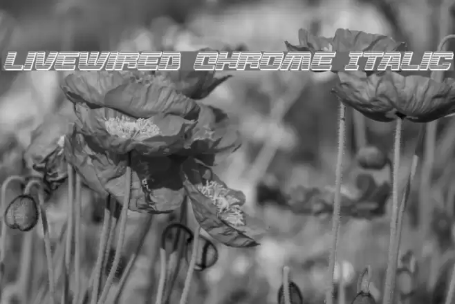 Livewired Chrome Italic Font examples