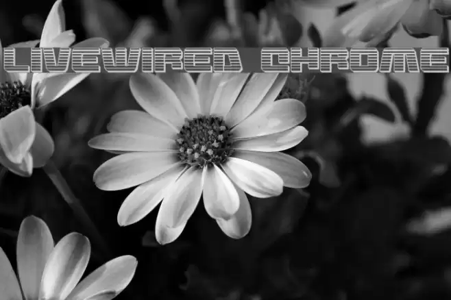 Livewired Chrome Font examples