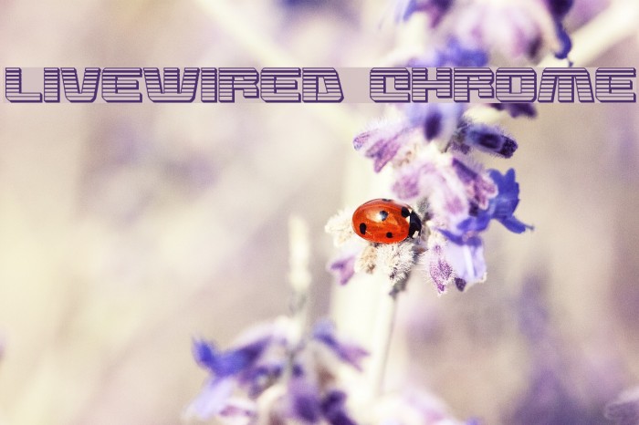 Livewired Chrome Example 2