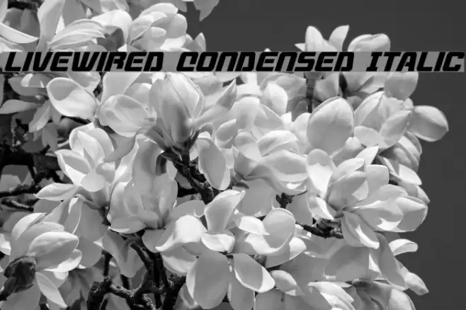 Livewired Condensed Italic Font examples