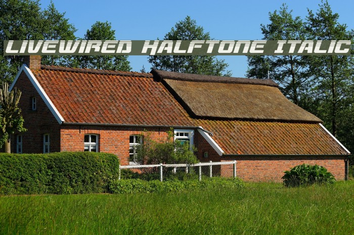 Livewired Halftone Italic Example 3