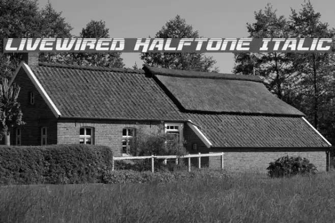 Livewired Halftone Italic Font examples