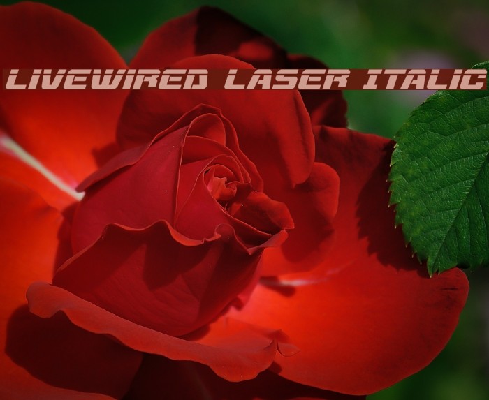 Livewired Laser Italic Example 1