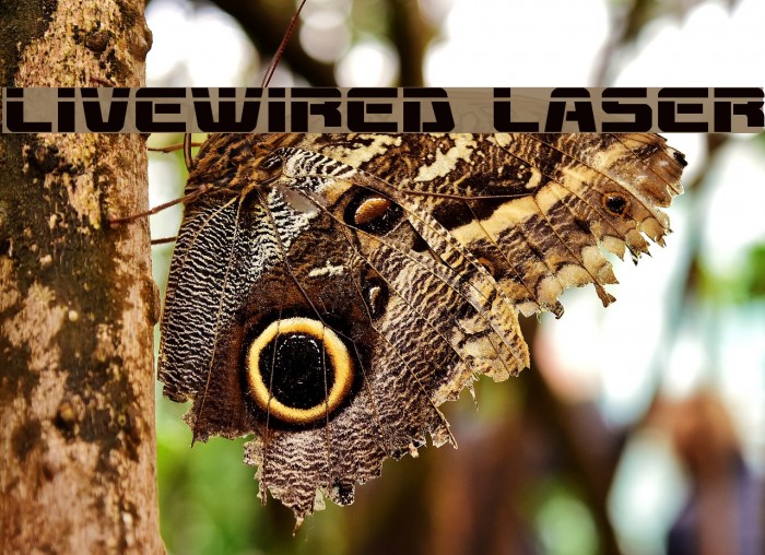 Livewired Laser Font examples