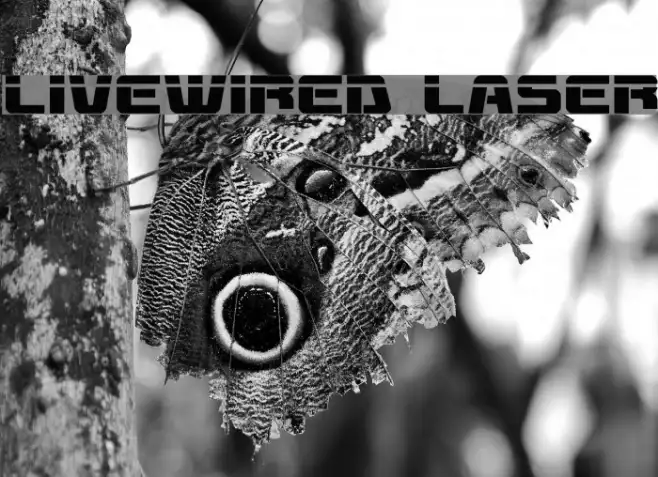 Livewired Laser Example 1