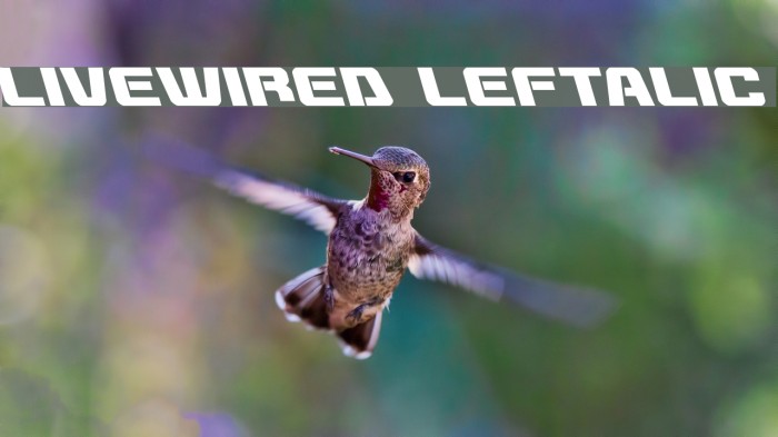 Livewired Leftalic Example 3