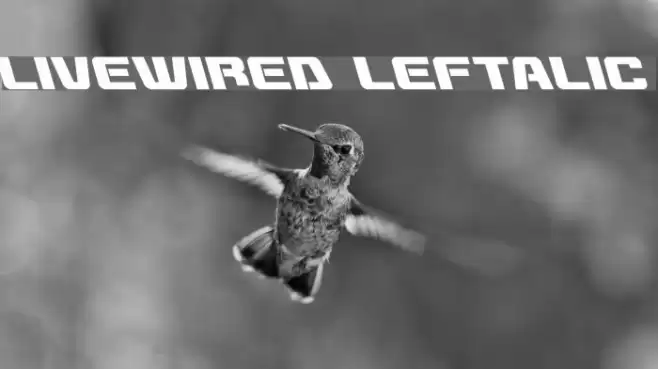 Livewired Leftalic Font examples