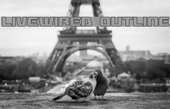Livewired Outline Example 2