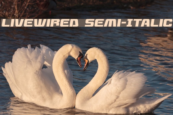 Livewired Semi-Italic Example 1