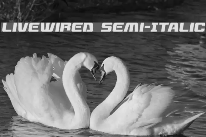 Livewired Semi-Italic Font examples