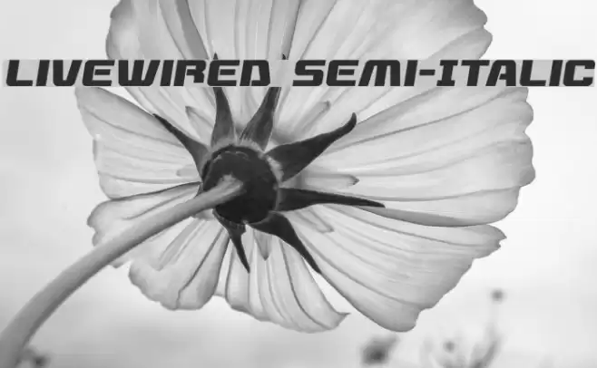 Livewired Semi-Italic Font examples