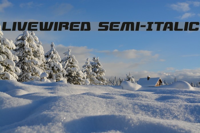 Livewired Semi-Italic Example 3