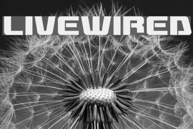 Livewired Font examples