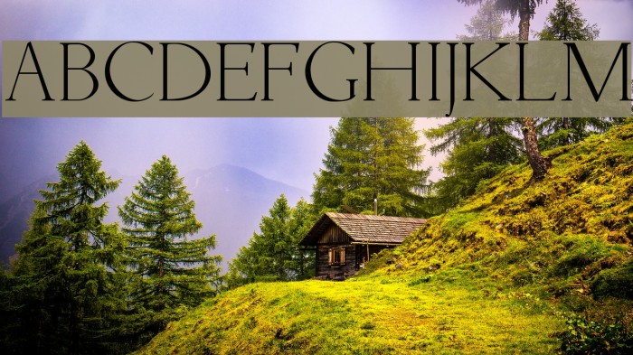 Livia Medium Font examples