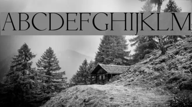 Livia Medium Font examples