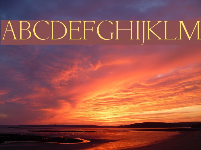 Livia Medium Font examples