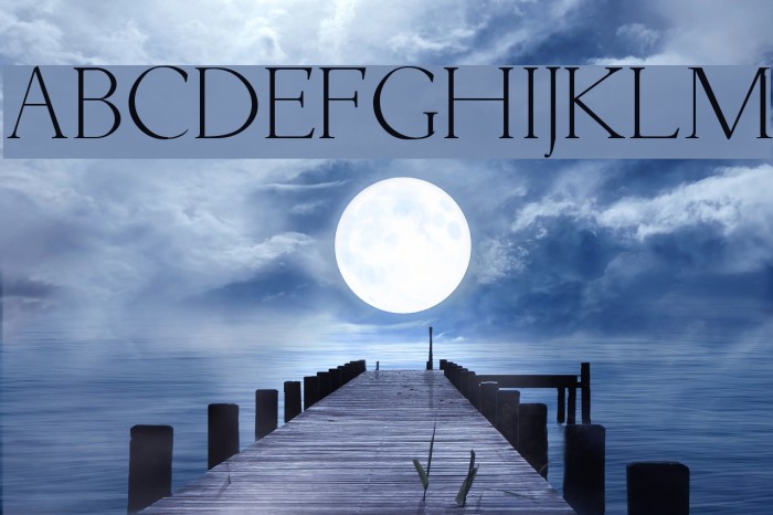 Livia Font examples