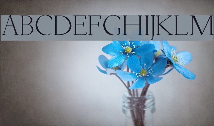 Livia Font examples