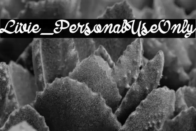 Livie_PersonalUseOnly Font examples