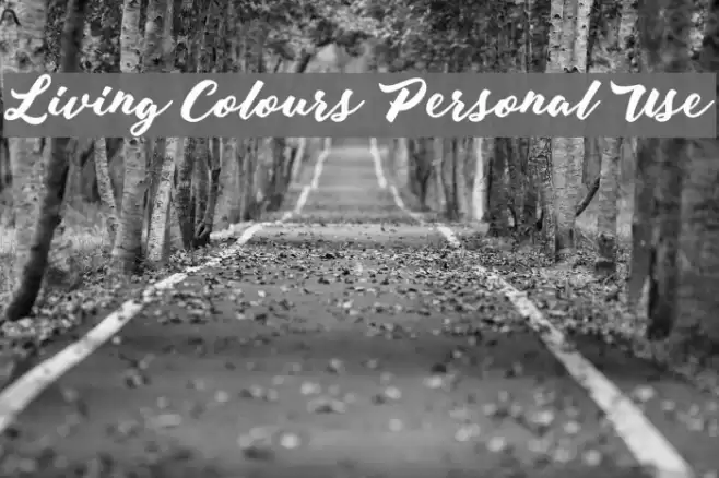Living Colours Personal Use Font examples