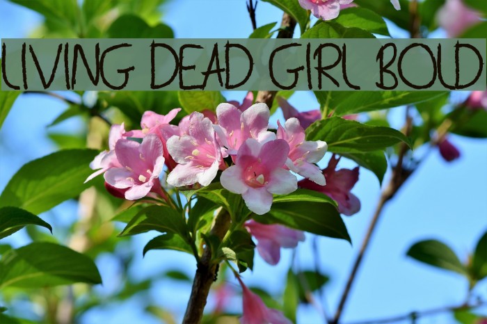 Living Dead Girl Bold Example 3