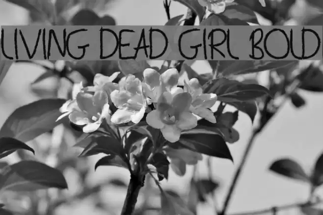 Living Dead Girl Bold Font examples