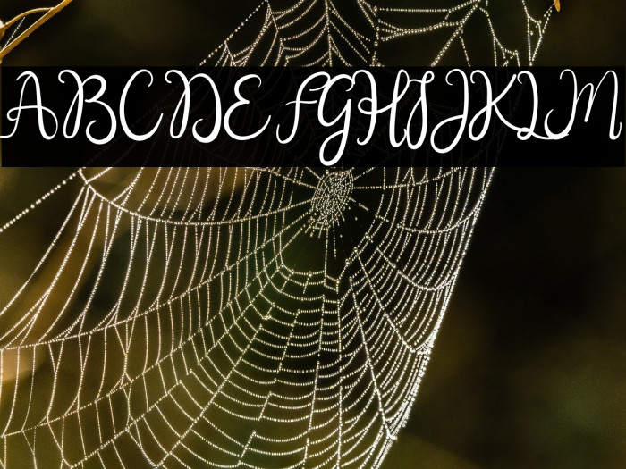 Living Love Example 3