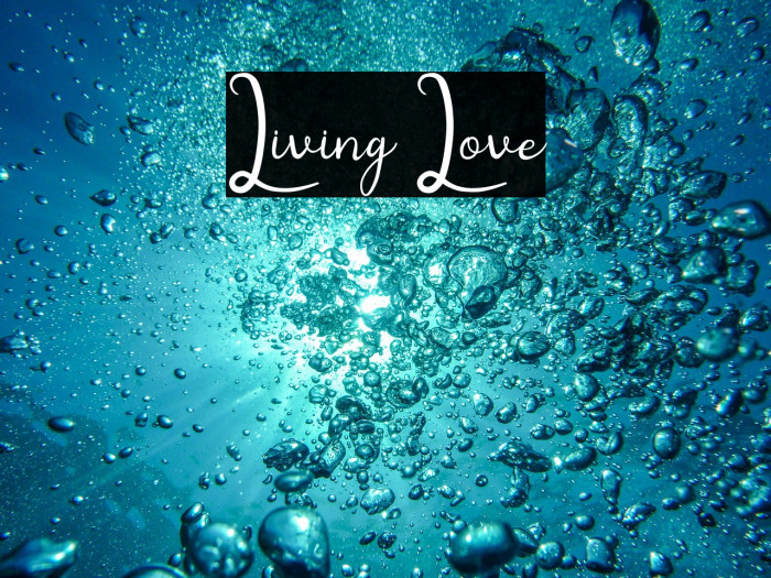 Living Love Example 2